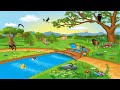 ការប្រឡងពីវីដេអូសិក្សា