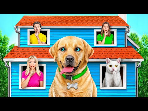 Extreme Hide and Seek Challenge with Dog by Multi DO Smile