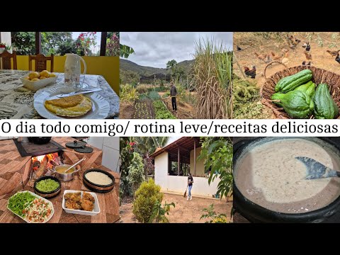 Rotina da manhã com café /canjica cremosa/ almoço delicioso/ cuidando das plantas e do lar/ colheita
