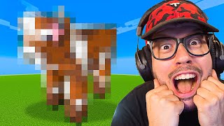 I built something special in Minecraft...