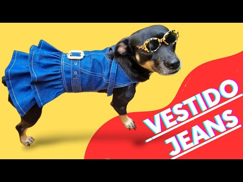 Roupinha Pet Cachorro Vestido Jeans