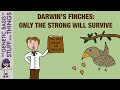 Darwin's Finches and Natural Selection