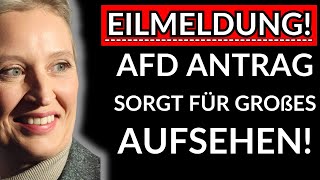 ⚠️Wegen AFD Antrag soll BSW Abgeordneter RAUSGESCHMISSEN werden?!⚠️AFD ANTRAG SORGT FÜR AUFSEHEN