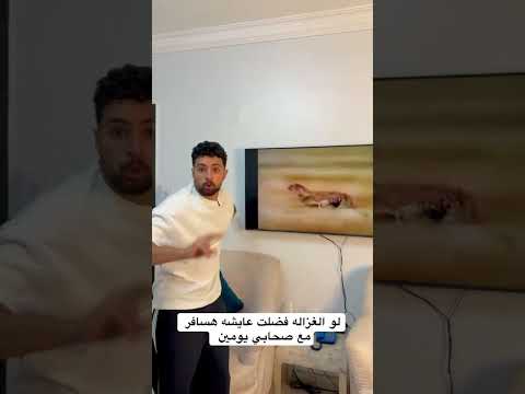 لو الغزاله فضلت عايشه هسافر مع صحابي يومين