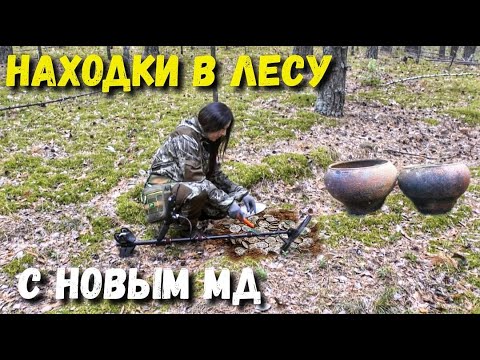 ДАЛ ЖАРУ НОВЫЙ МЕТАЛЛОИСКАТЕЛЬ. ОТПРАВИЛАСЬ ЗА КЛАДОМ В ЛЕС