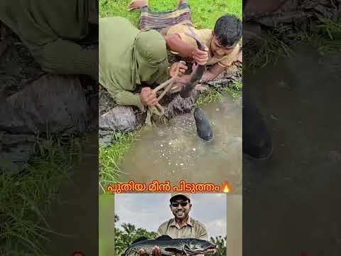 പുതിയ മീൻ പിടുത്തം #mallutraveler #fishingfreaks #shortsX #mallu #malayalam #m4tech #leo #remix #fyp