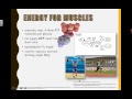 Anaerobic and Aerobic Respiration Concepts