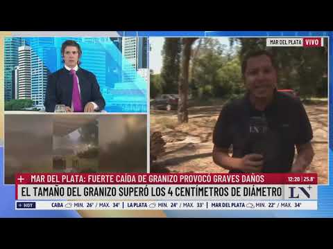 Mar del Plata: fuerte caída de granizo provocó graves daños