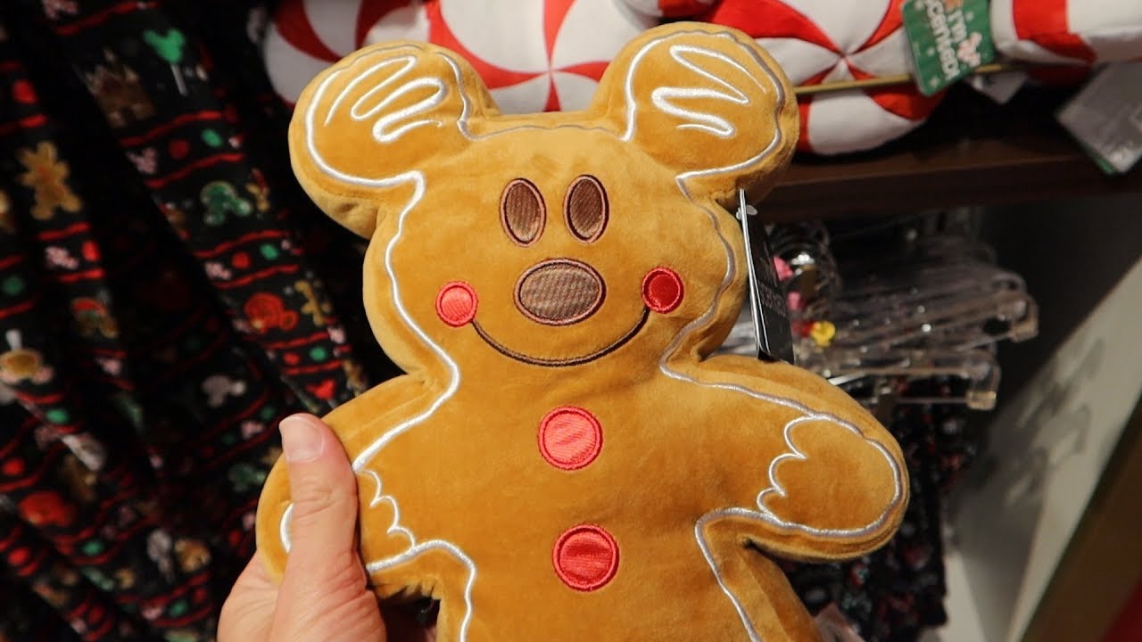Visiting All 4 Walt Disney World Parks In One Day In Search Of Christmas! Merch & More! The Tim Tracker