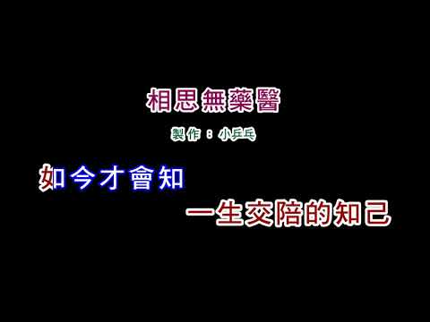 (伴奏版)黃乙玲-相思無藥醫(DIY卡拉OK字幕)