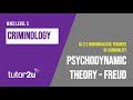 Understanding Freud's Psychodynamic Theory in Criminology
