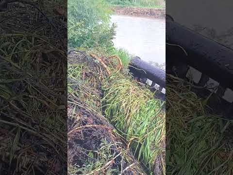 สุดท้ายก็เสร็จเราจนได้ | ไพโรจน์ รถขุด ช่องหลัก #excavator #fishing #fish #food #shorts #shortvideo