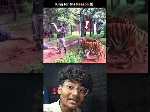 Why king always king #millionairemindset  #motivation #mukeshsurya