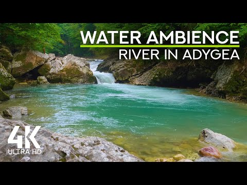 Flowing Waters White Noise & Bird Chirping for Concentration & Focus - 4K Mountain River in Adygea