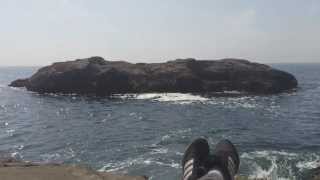 Memories of Japan (Parte V)