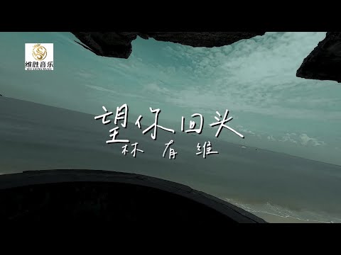ADAM LIM 林有维【望你回头】福建原创新歌《词曲:林有维》