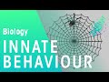 Innate Behavior and Genetics