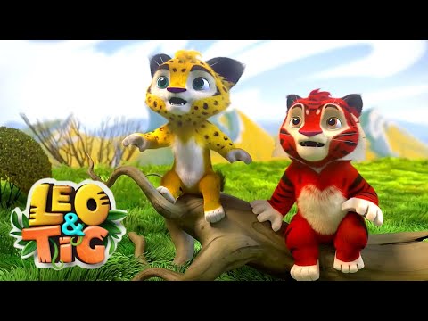 Leo and Tig Take You on a Wild Adventure! 🐯🦁 A new collection of cartoons for children