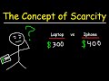 Economic Decision-Making and Scarcity