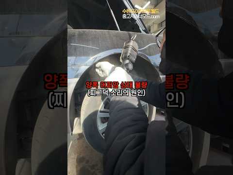 390만원짜리 오피러스 프리미엄 구매해도 괜찮을까..?🥺