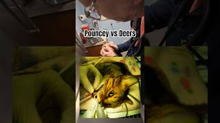 Pouncey vs Deers: More in the comments.
