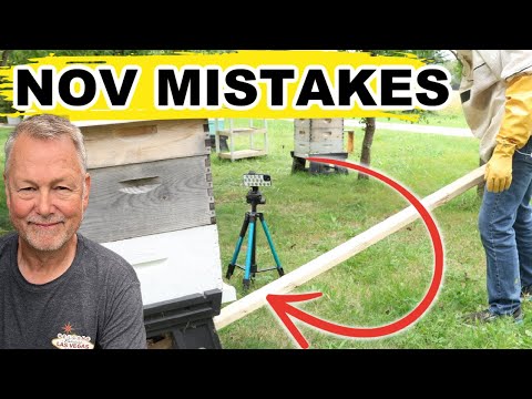 Beekeeping | 3 November BIG TIME Mistakes To Avoid