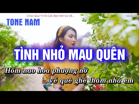 Karaoke Tình Nhỏ Mau Quên Tone Nam Nhạc Sống | Hoàng Dũng Karaoke