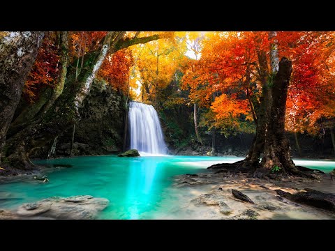 Beautiful Relaxing Ambient Music - Relax, Stress Relief, Sleep, Meditate, Study (Kenneth)