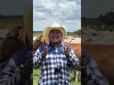 El vacunador del llano