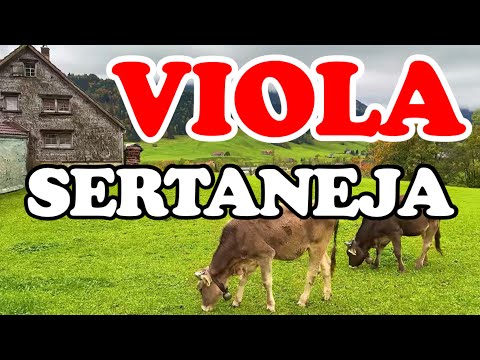 VIOLA SERTANEJA - Só As Melhores Da Viola Caipira - Sertanejo Raiz De Verdade