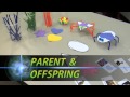 Inherited Traits and Learned Behaviors Activity