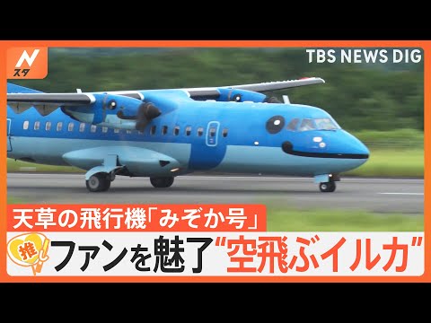 “空飛ぶイルカ”が大人気！熊本・天草発の飛行機「みぞか号」　根強いファンは「みぞか日記」も【ゲキ推しさん】｜TBS NEWS DIG