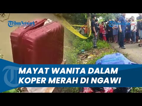 MENGGEMPARKAN! Penemuan Mayat Wanita dalam Koper Merah di Ngawi, Diduga Kuat Korban Mutilasi