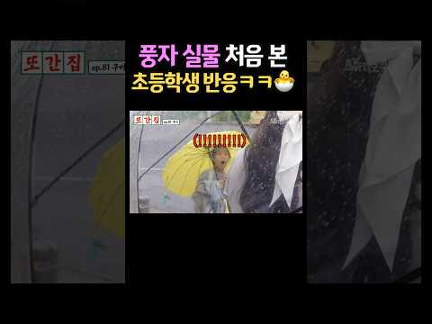 풍자 실물 처음 본 초등학생 반응ㅋㅋ#shorts