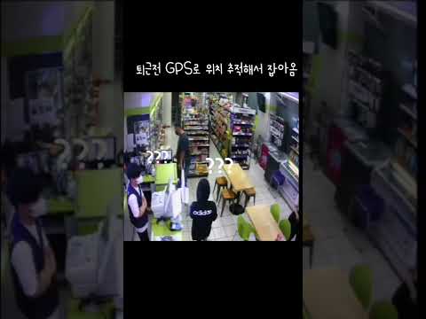 맨날 잡혀오는 고양이