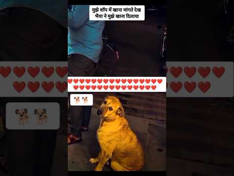 मुझे शॉप में खाना मांगते देख भैया ने मुझे खाना दिलाया