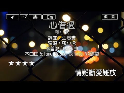 心借過-蔡小虎(Karaoke伴奏)