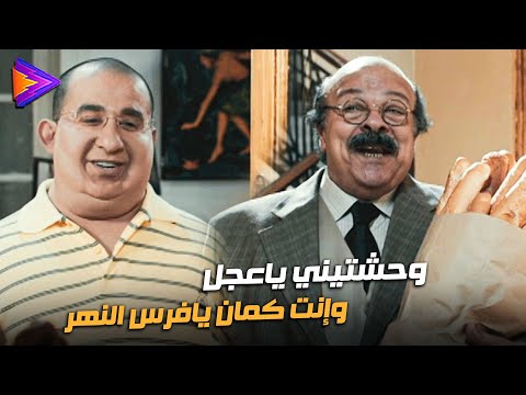 إنت وصاحبك لما تتنمروا على بعض | وحشتيني ياعجل وإنت كمان يافرس النهر🔥😂🎬 #إكس_لارج