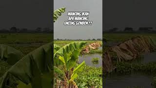 Rawa Geger Lamongan