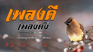 เพลงดีเพลงดัง ฟังเพลิน   รวมเพลงลูกทุ่งเพราะต่อเนือง