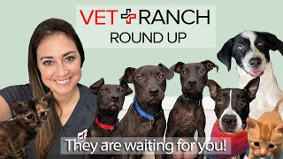 OUR SAD GOODBYE TO ROUNDUP!