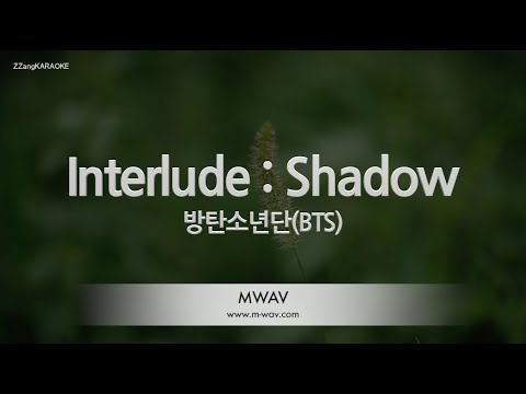 [짱가라오케/노래방] 방탄소년단(BTS)-Interlud : Shadow [ZZang KARAOKE]