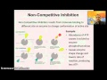 Enzyme Inhibition and Metabolic Pathways