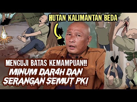 6 Bulan di Hutan Belantara Kalimantan, Nyata! Tanpa Alat dan Persiapan!!