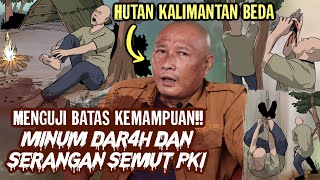6 Bulan di Hutan Belantara Kalimantan, Nyata! Tanpa Alat dan Persiapan!!