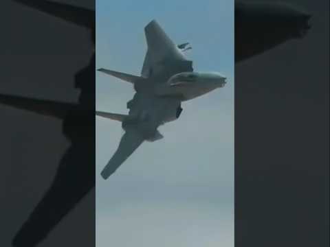 【戦闘機好きのロマン】まるでMAVERICKのように 目の前を高速で突っ切ったF-14 TOMCAT!!