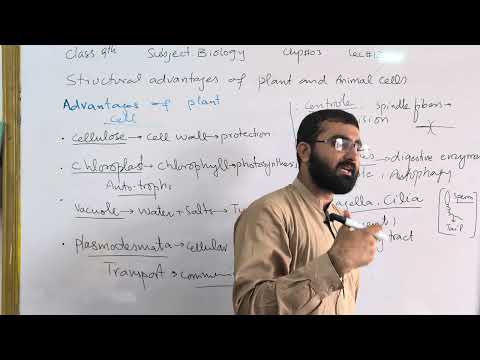 Structural advantages of Plant and Animal cells