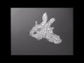 Single Cell Organisms: Amoeba and Paramecium
