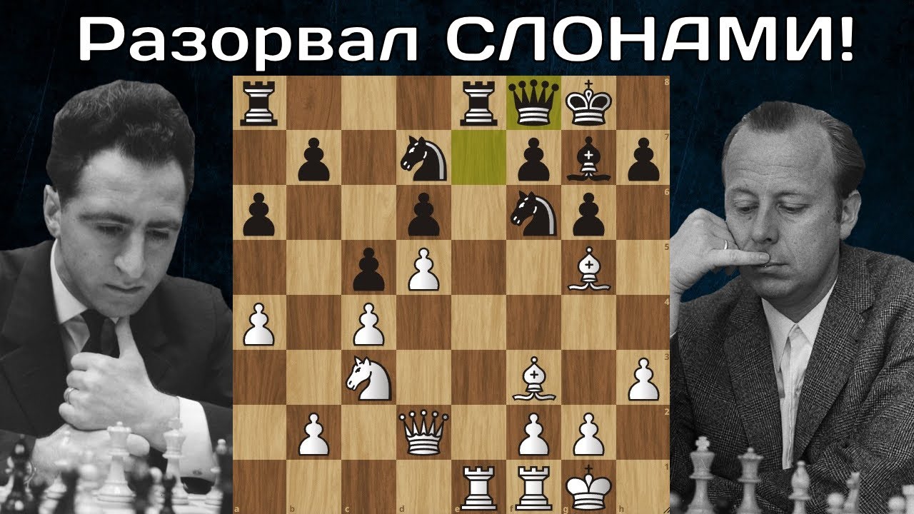 Лев со Слонами разорвали Волка Полугаевский - Ульман