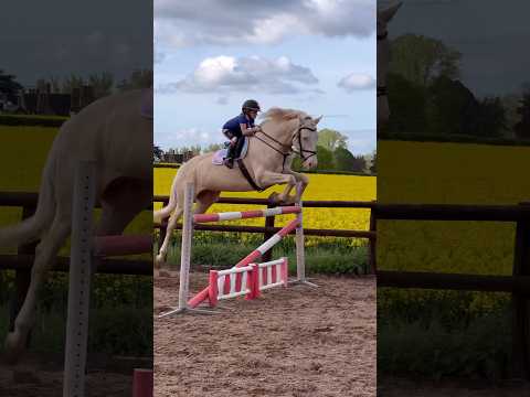 That’s bigger than me #horse #equestrianrider #equestrian #showjumping #horseriding #jumping #pony